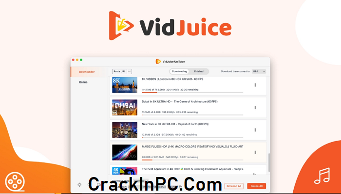 VidJuice UniTube Crack