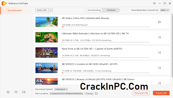 VidJuice UniTube License Key