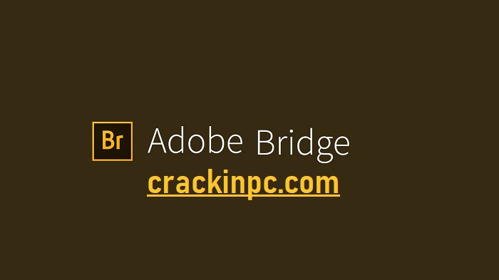 Adobe Bridge Crack